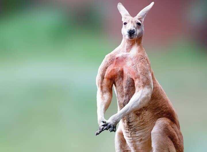 （写真はイメージです）　Antagain-iStock