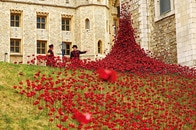 ロンドン塔を埋め尽くす3万本の「セラミック製ポピー」...赤い花に込められた意味とは？