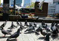 DaiGo炎上問題、「問題提起」だろうと「個人の感想」だろうと許されない意見はある