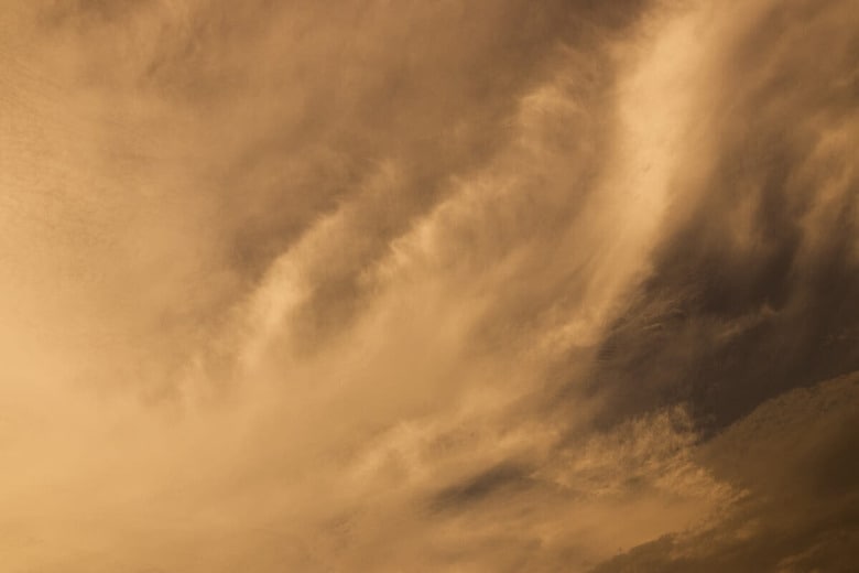 （写真はイメージです）　pamas-Shutterstock