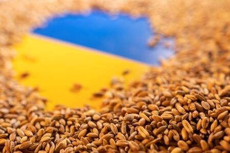 　８月９日、国連とトルコの仲介で合意したウクライナ産穀物輸出再開の一環で、新たに２隻の貨物船がウクライナのチョルノモルスク港から出港した。写真は５月撮影（２０２２年　ロイター/Dado Ruvic）