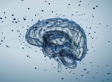 認知症予防の最新科学