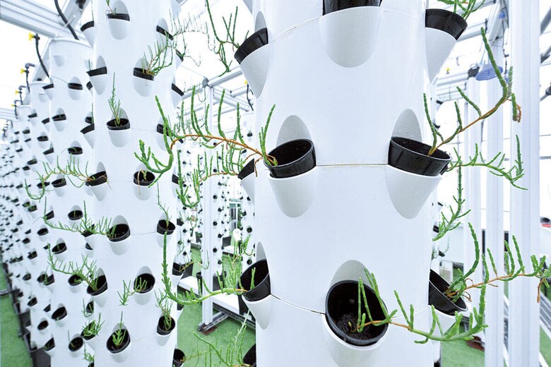 独自開発のタワー型の栽培設備で狭いスペースを最大限活用　SEIJI TONOMURA FOR NEWSWEEK JAPAN