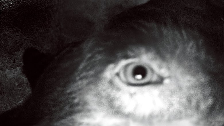 【越境の気配】  クマが出没した場所に立つと、「いないはずだ」という前提は揺らぎ、「いるのかもしれない」という感覚が生まれる。それは「いるはずがない場所」でも起こる。ひとたび「境界」が超えられると、単なる事象にとどまらず、私たちの「認識の揺らぎ」も出現する