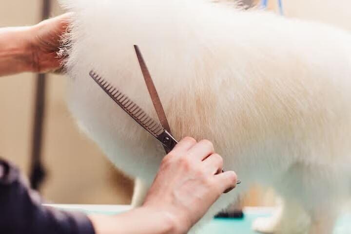 （写真はイメージです）　Anna Berdnik-Shutterstock