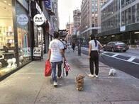 NY在住の大江千里から、NYで新生活を始める小室さん夫妻に贈る言葉