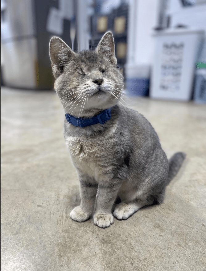 スクリーンショット (61).png