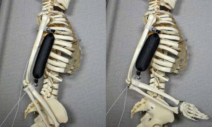 Credit: Aslan Miriyev/Columbia Engineering