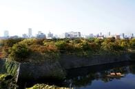 大阪都構想の住民投票否決で与党内に波紋　解散時期に影響の見方も