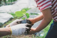 日本の小学生にもプチ・インターンシップを！