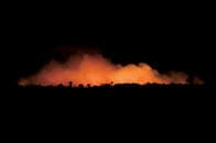 フェイクニュース？　アマゾン火災をブラジルが放置する理由