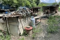 「処理」された犬たちの首輪の山──韓国・犬肉農場のぞっとする光景