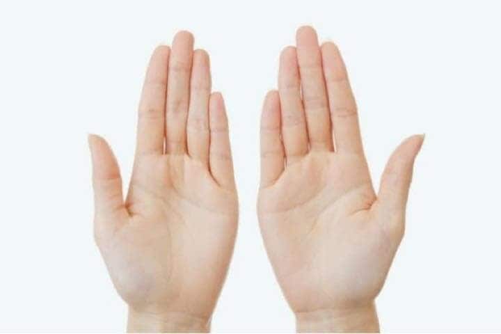 女性の手のひら