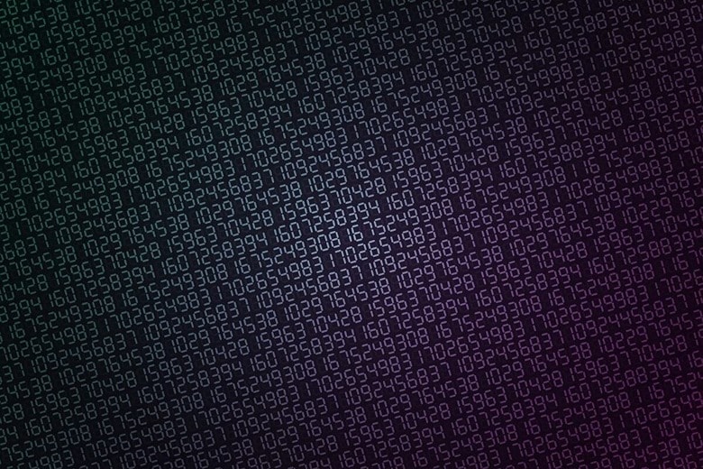 （写真はイメージです）　Elena Abrazhevich-Shutterstock