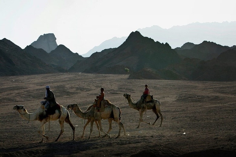 シナイ半島は太古の昔から重要な交易路だった　Goran Tomasevic-REUTERS