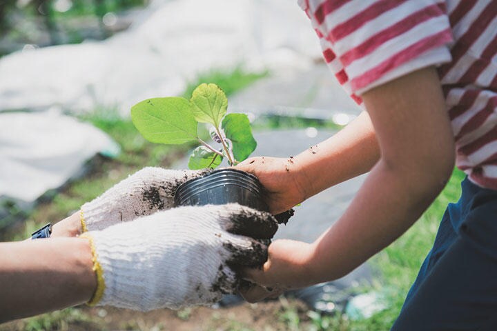 子供のためだけでなく地域社会のためになる　Kohei_Hara/iStock.