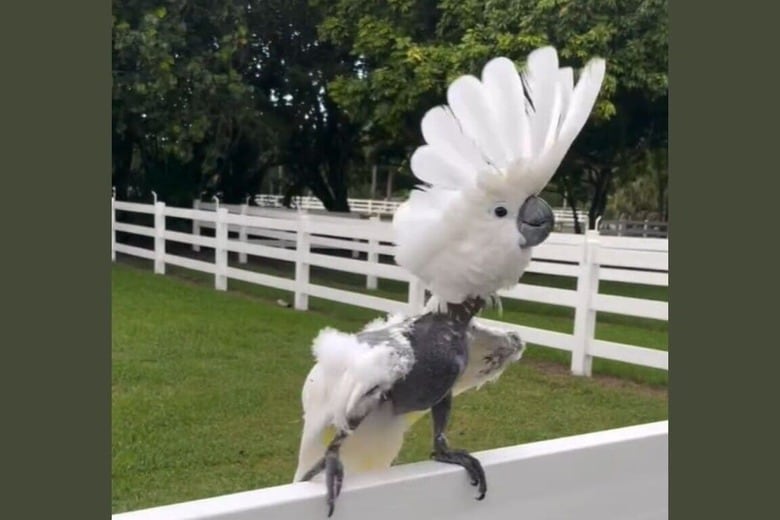 @kristinsitova / Instagram