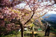 「山越え」で東京脱出、人の朗らかさに触れてホッとする