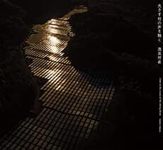 書名：『光さす杜の声を聴く』<br>
著者：逸見祥希<br>
アートディレクション：橋詰ひとみ<br>
言語：日英併記<br>
判型：A4変<br>
総頁：96頁<br>
製本：並製<br>
定価：4,950円（本体4,500円）<br>
ISBN：978-4-86152-980-1 C0072.jpg