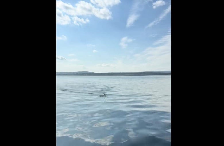 @sebastian_outdoors／TikTok