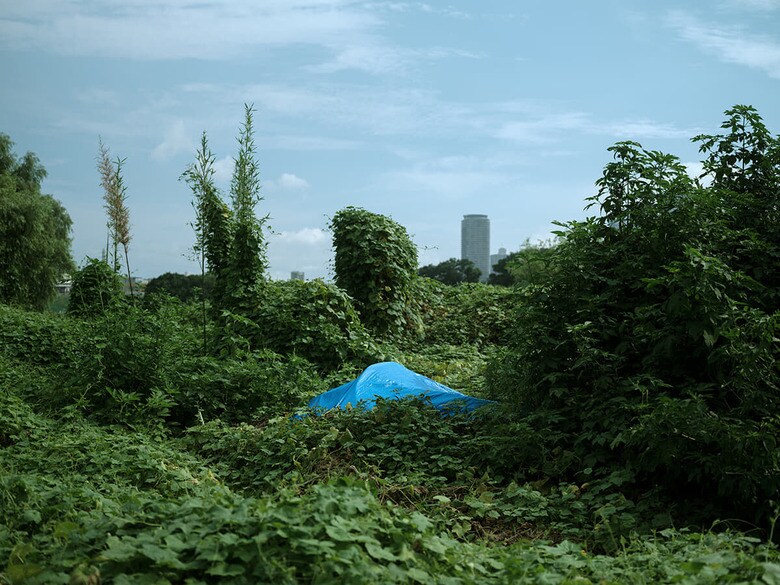 路上生活者たちが「小屋」と呼ぶ青い家が、深い緑の中にひっそりとた たずむ。ブルーシートを折り畳んだ簡素なものから鉄パイプを利用したものまで、形状はさまざまだ