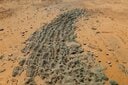 アフリカ北西部の国モーリタニアのタマヤの砂漠に残る、廃坑となった小規模金採掘現場の空撮風景。採掘跡は金鉱脈の輪郭に沿って広がっている（2023年2月）