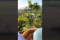 【動画】熱気球が着陸失敗で「木に激突」...絶望的な衝撃の瞬間、乗客たちの様子を撮影していた動画が話題