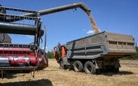 ロシア、穀物輸出強化へ緊急措置を検討　ウクライナの拠点攻撃に対応