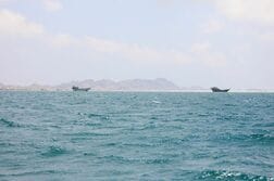 サウジ、フーシ派攻勢を計画　バブルマンデブ海峡奪還目指す＝関係筋