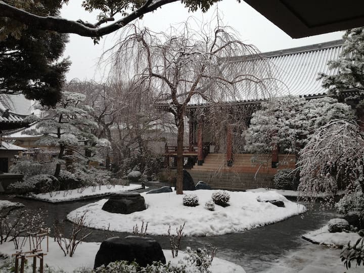 圓照寺 日本庭園