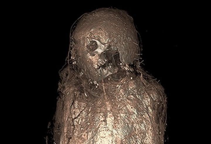 砂や泥、藁からできた混合物で全身を覆われていた......  Sowada/PLOS ON