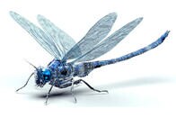 開発が進む最新軍事テクノロジー「昆虫サイボーグ」【未来予報図03】