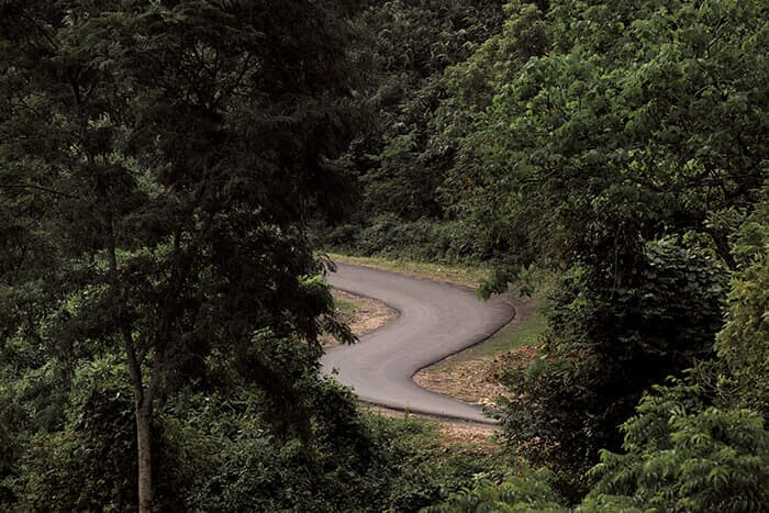 野生のアジアゾウが通り道にしているインド・バングラデシュ国境地帯に建設された高速道路(22年6月)