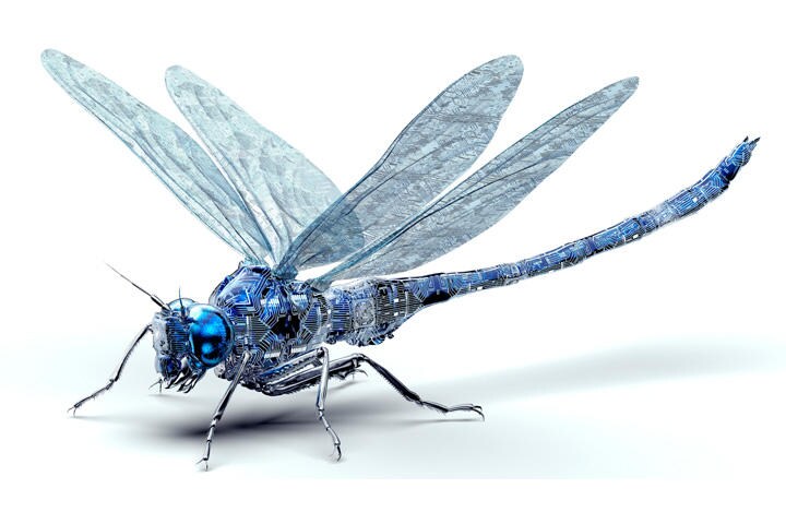 写真はイメージです　posteriori-iStock.