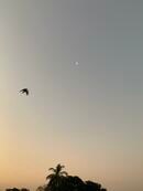 ミャンマー軍による一週間の停電発表、その後