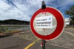 ライン川の水位低下で独海運業界が警告、主要区間で貨物輸送停止の恐れ