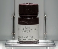 違法の「幻覚キノコ」が不安・鬱を和らげる──米で研究