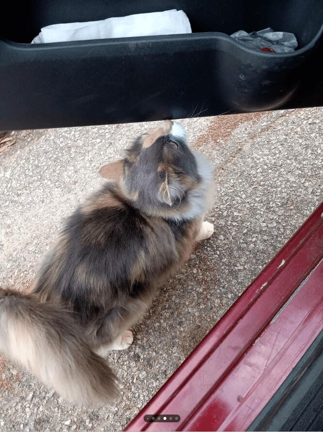 スクリーンショット (83).png