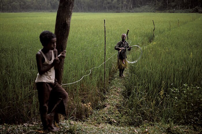 ゾウから水田を守るために電気柵を設置する村人(24年10月)