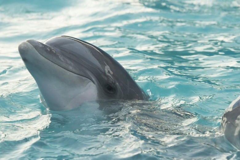 （写真はイメージです）　Louan García-Unsplash