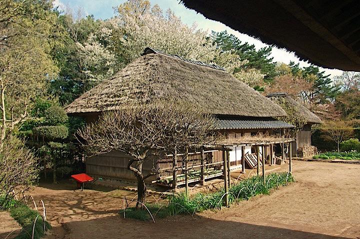 1カ月の生活費が約8000円、引っ越してきた2019年4月以降ごみを出したことがないという40代の男性。生活不安が高まる時代の中、彼は田舎でどのような暮らしを送っているのだろうか？