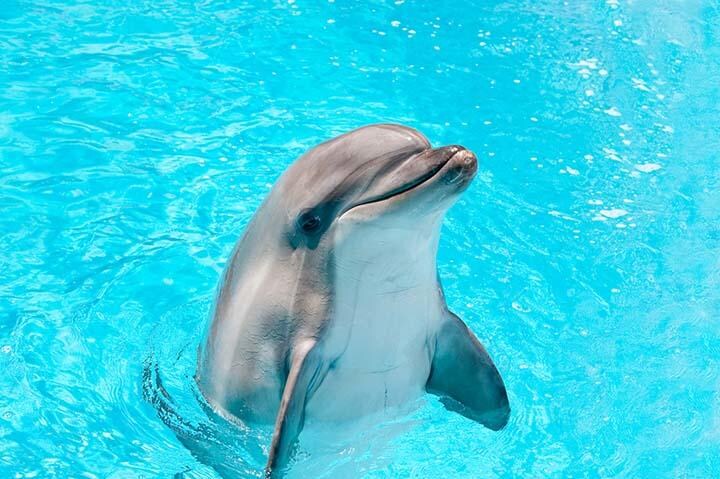 （写真はイメージです）　alexxx1981-iStock