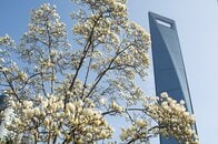 上海での日本人刺傷事件、中国は「単発的な事件」と強弁…「根拠のない煽り」行わぬよう注文も