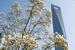上海での日本人刺傷事件、中国は「単発的な事件」と強弁…「根拠のない煽り」行わぬよう注文も