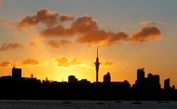 ＮＺ総選挙、ベーシックインカムの導入掲げる新興政党が台風の目に