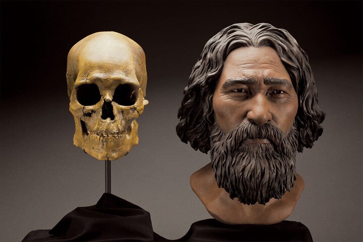 約9000年前のケネウィック人の頭蓋骨と復元模型