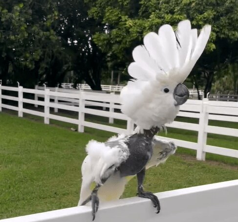 @kristinsitova / Instagram