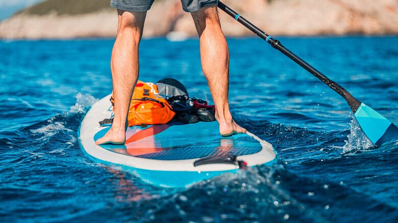 （写真はイメージです）　True Pixel Art-Shutterstock