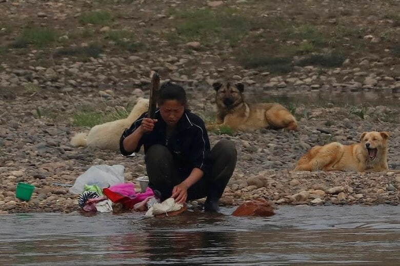 １１月２０日、国連女性差別撤廃委員会（ＣＥＤＡＷ）は、北朝鮮の女性は教育や雇用機会を奪われており、しばしば、家庭内暴力や職場での性的暴行の被害に遭っているとの報告を公表した。写真は中国との国境の川・鴨緑江で洗濯をする女性。４月に新義州市で撮影（２０１７年　ロイター／Aly Song）