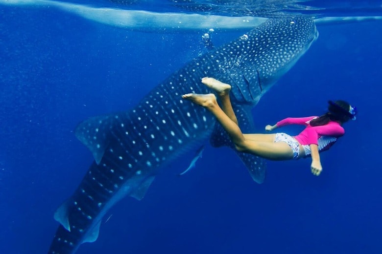 イメージ画像　MaxTopchij-iStock